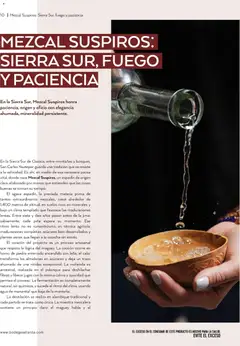 Vista previa de Bodegas Alianza catálogo, nuevo folleto de la tienda, válido en México a partir del 01.01.2026 | Página: 12