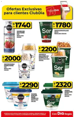 Supermercado DIA Ofertas │ válido desde el 20.08.2025 | Página: 39 | Productos: Colchón, Frutilla, Yogur, Cereales