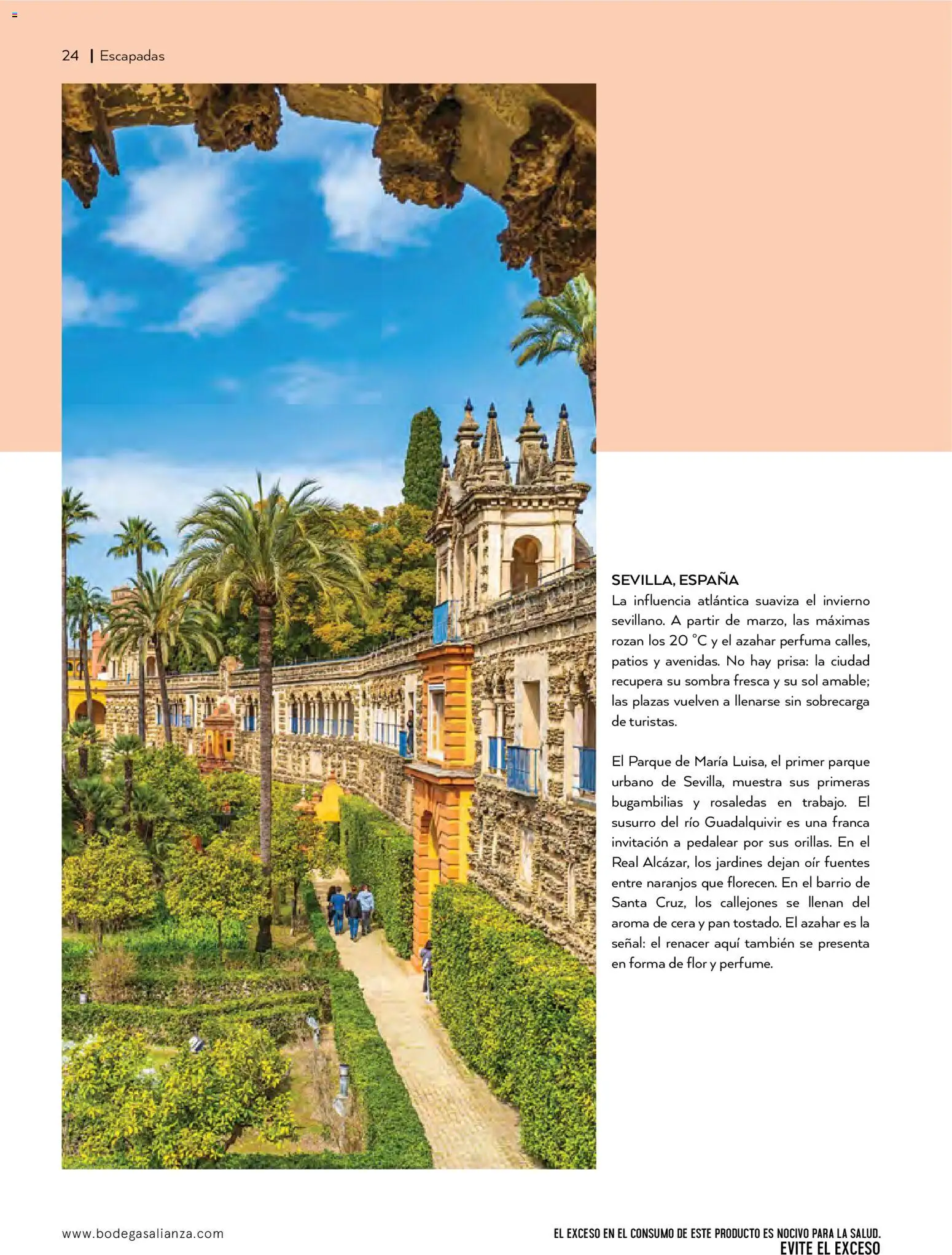 Nuevas ofertas de Bodegas Alianza válidas en toda la República Mexicana desde el 01.01.2026. ¡Encuentra las mejores ofertas en Bodegas Alianza catálogo! | Página: 26 | Productos: Pan, Cera, Sombra