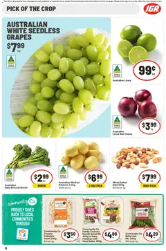 Preview of IGA  Catalogue  - valid from 07.01.2026 | Page: 13