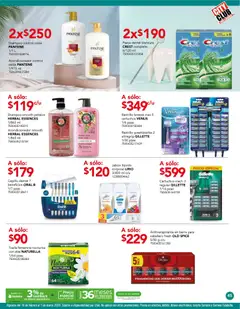 Vista previa de City Club catálogo, nuevo folleto de la tienda, válido en México a partir del 02.02.2026 | Página: 45