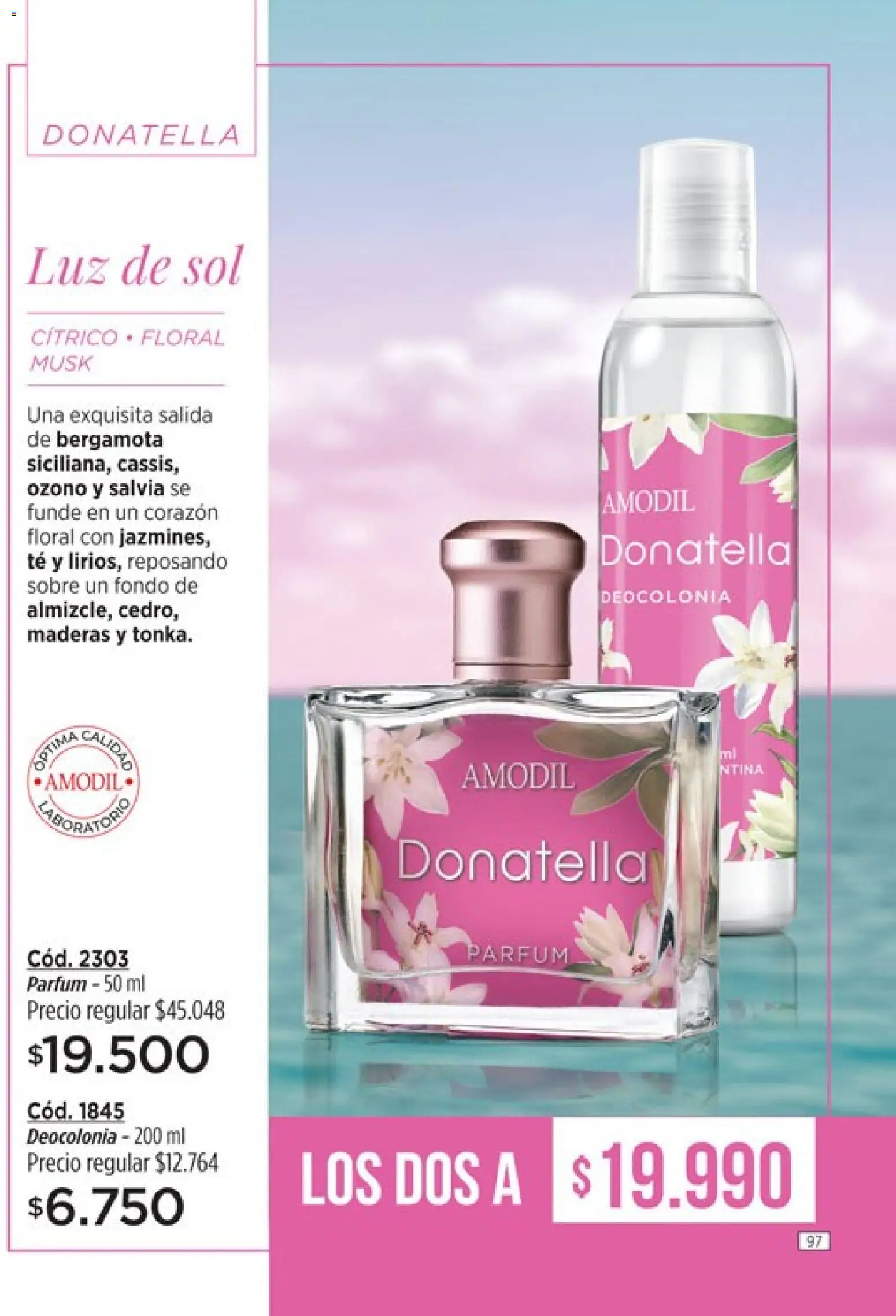 Catálogo Amodil Campaña 1/2026 │ válido desde el 01.01.2026 | Página: 97 | Productos: Sobre, Té