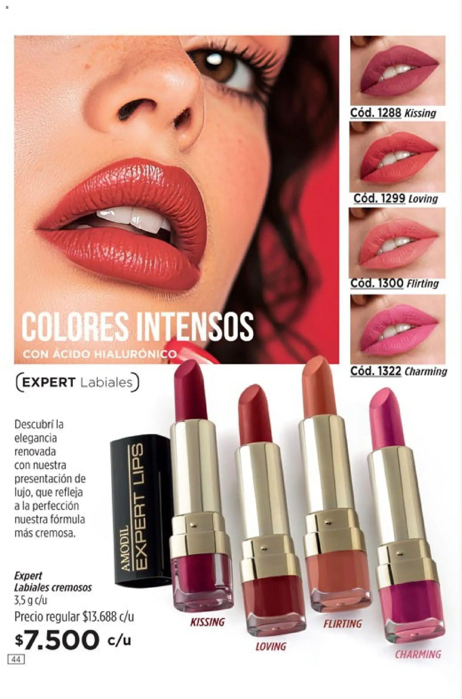 Catálogo Amodil Campaña 5 │ válido desde el 12.02.2026 | Página: 44