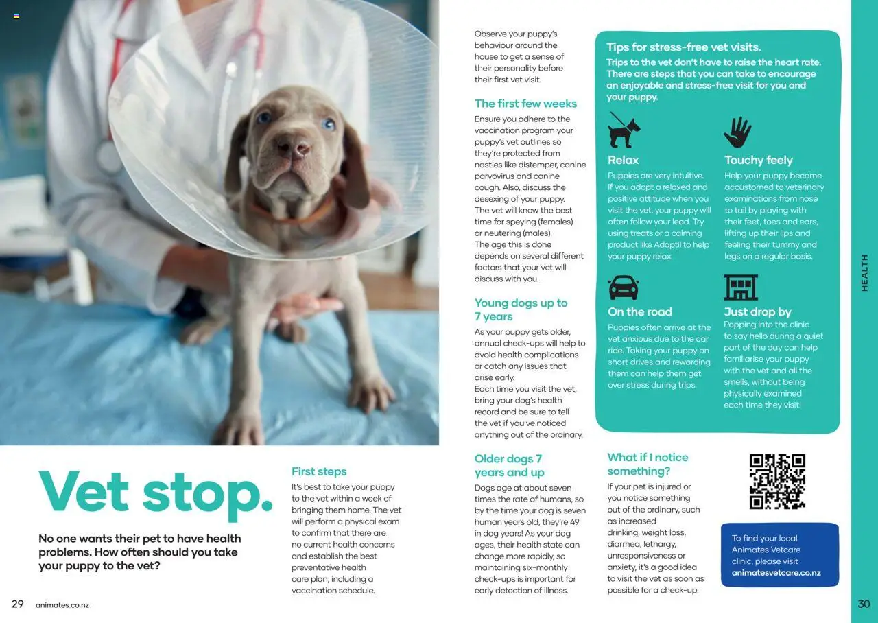 Animates catalogue from 01.01.2024 | Page: 16