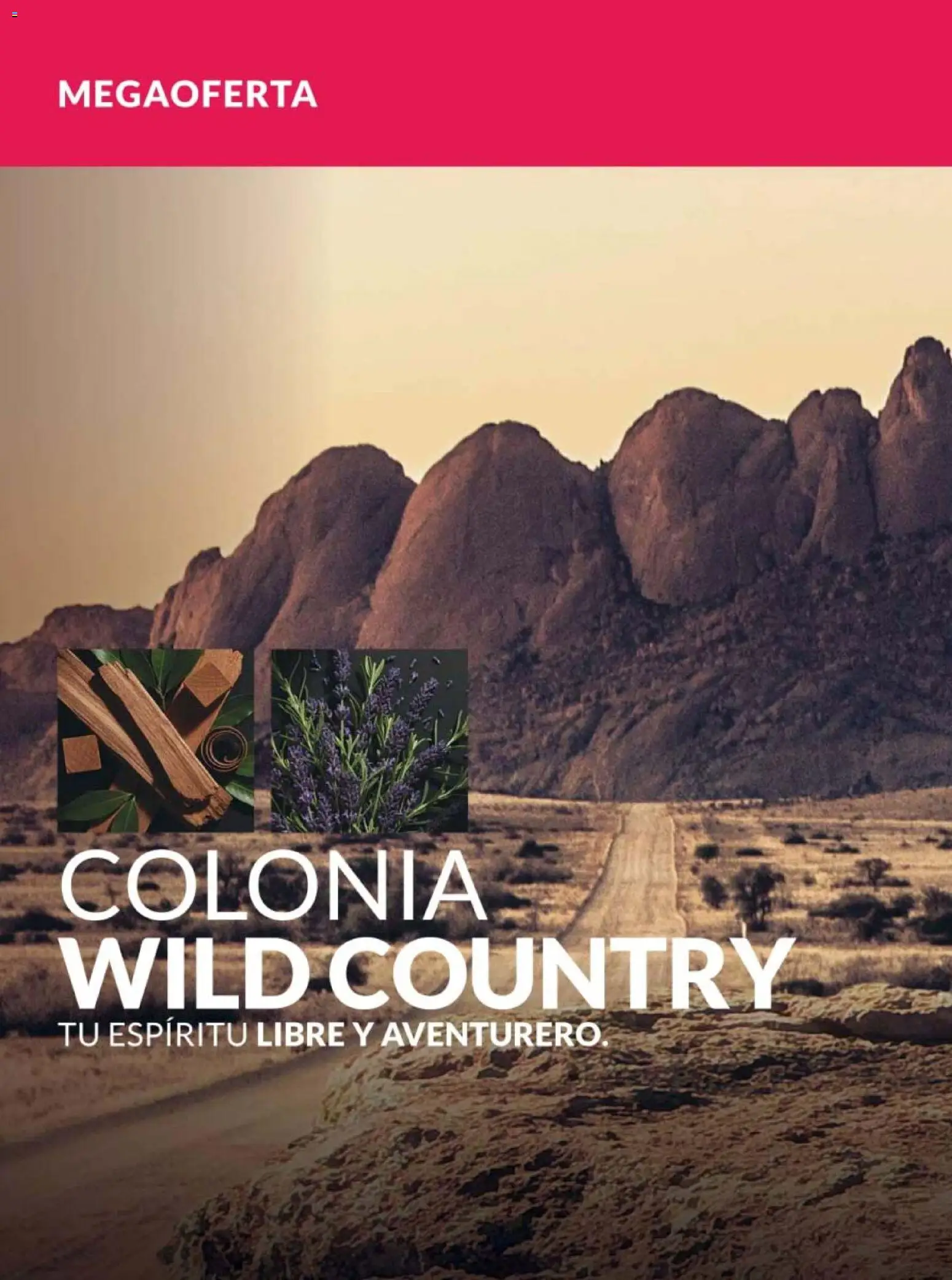 Nuevas ofertas de AVON válidas en toda la República Mexicana desde el 13.03.2026. ¡Encuentra las mejores ofertas en AVON campaña 5 2026! | Página: 114