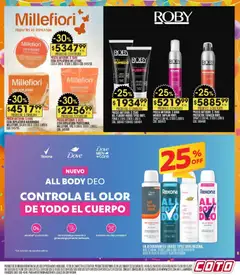Vista previa Coto - Ofertas válido desde el 27.10.2025 | Página: 19