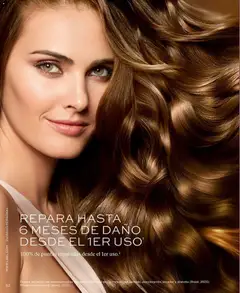 Vista previa de folleto L'Bel catálogo - Campaña 7 de la L'Bel válido desde 04.04.2026 | Página: 62