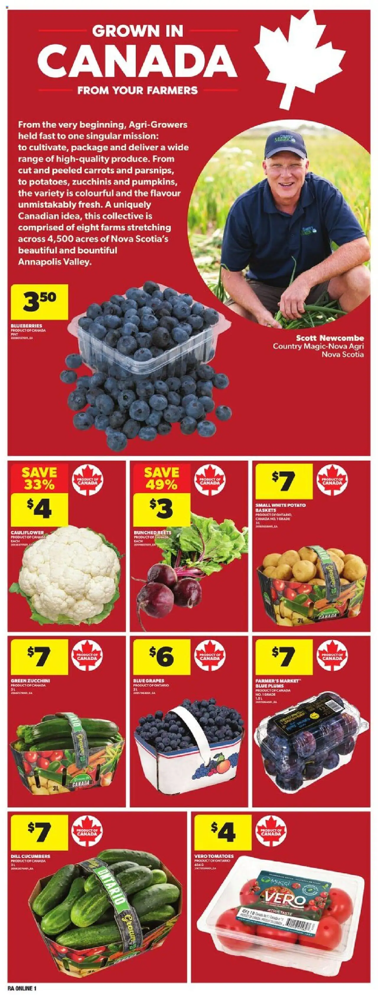 Atlantic Superstore flyer valid from 14.08.2025 | Page: 10 | Products: Cucumbers