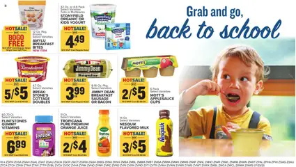 Food Lion Weekly - VA - valid from 23.07.2025 | Page: 17 | Products: Yogurt, Chocolate, Pork, Sausage