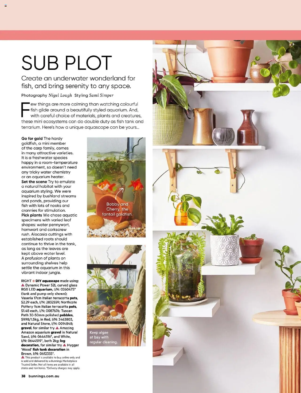 Bunnings Warehouse catalogue - valid from 01.07.2025 | Page: 38 | Products: Fish, Water