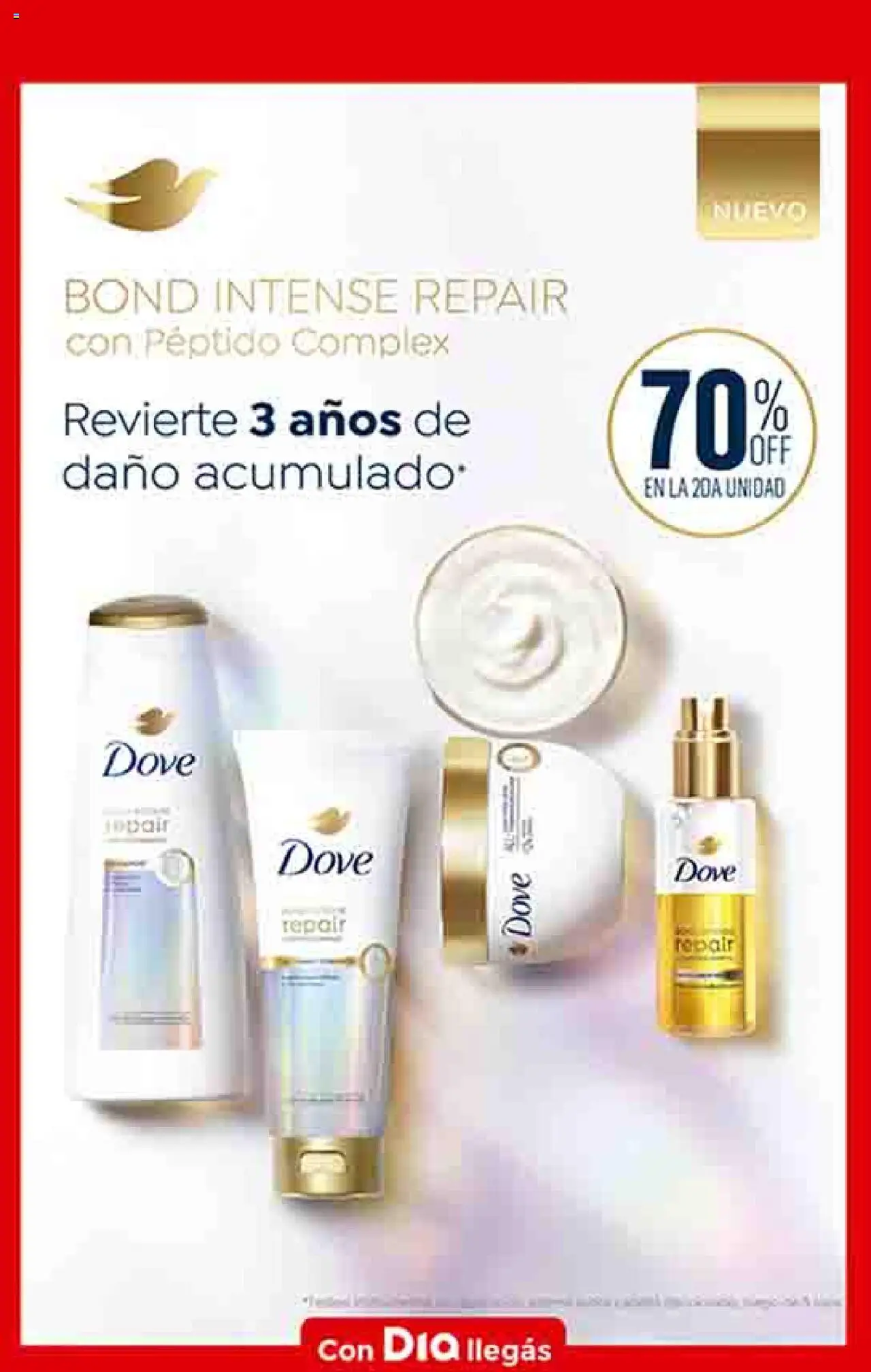 Dia - Ofertas - Salta y Jujuy │ válido desde el 10.09.2025 | Página: 8