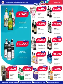 Vista previa Vital - Ofertas válido desde el 26.01.2026 | Página: 16 | Productos: Vodka, Gin, Fernet, Cerveza