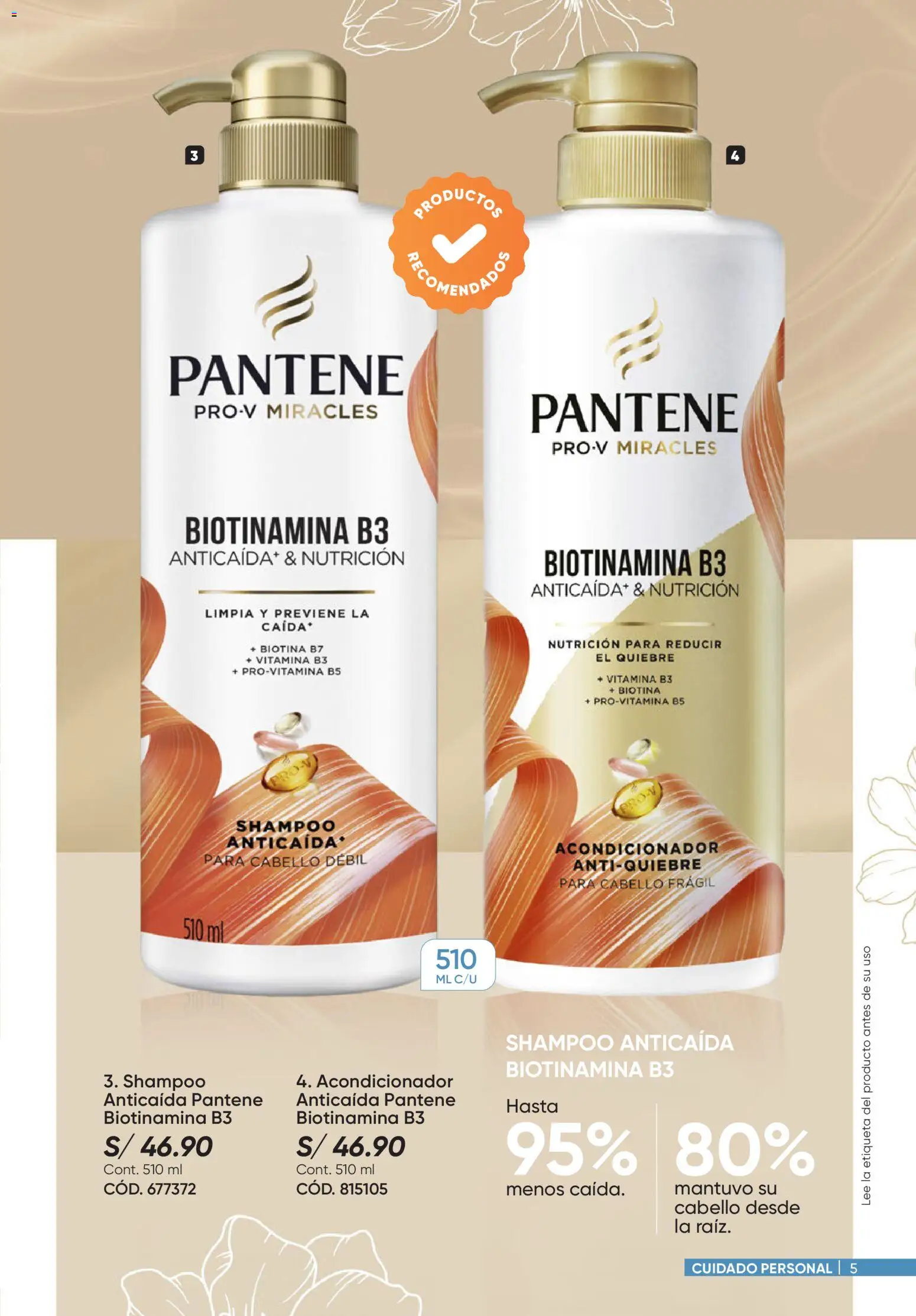 Catálogo Azzorti válido desde 24.11.2025 | Página: 5 | Productos: Shampoo, Acondicionador