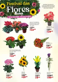 Bistek Supermercados - Ofertas Festival das Flores - Pré-Visualização do folheto da loja Bistek Supermercados, válido de 27.10.2025 | Página: 2 | Produtos: Flores, Vaso