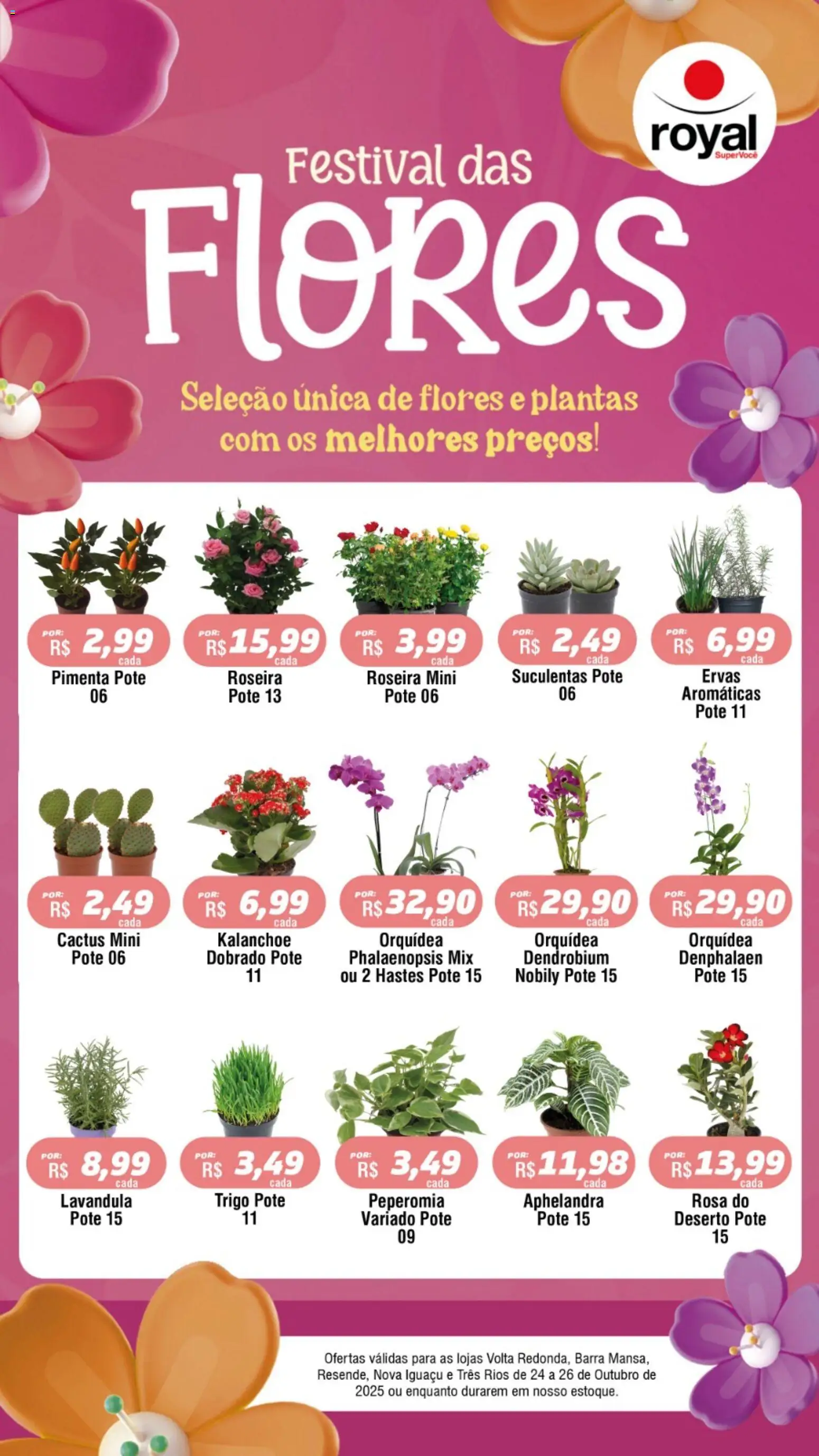 Royal Supermercados Folheto - válido de 24.10.2025 | Página: 1 | Produtos: Denphalaen, Pimenta, Flores