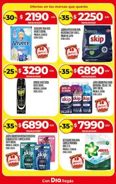 Supermercado DIA Ofertas │ válido desde el 17.09.2025 | Página: 45 | Productos: Insecticida, Polvo, Jabón líquido, Ropa