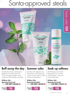 Preview of Nutrimetics Catalogue Party season treats - valid from 26.11.2025 | Page: 11