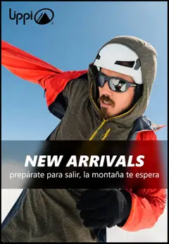 Lippi ofertas  válido desde el 19.03.2026