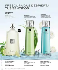 Catálogo L'Bel Campaña 15 │ válido desde el 15.09.2025 | Página: 22 | Productos: Eau de toilette