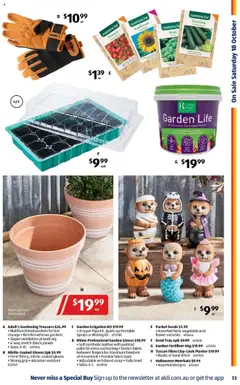 Preview of Catalogue Aldi - valid from 15.10.2025 | Page: 13 | Products: Seeds, Zucchini, Gloves, Portable