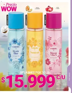 Carmel revista - valida desde el 01.09.2025 | Página: 156 | Productos: Body, Melón, Coco, Pera