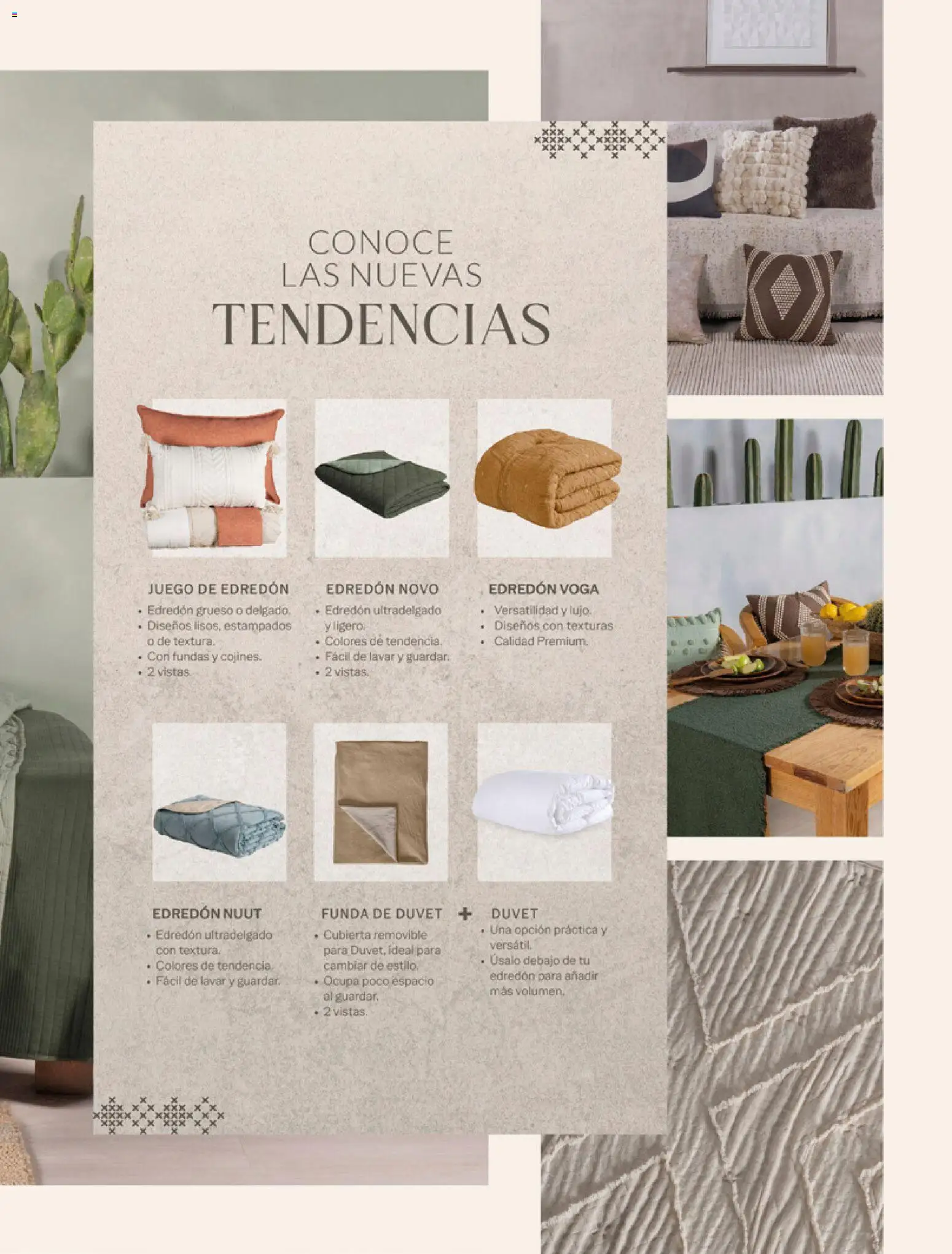 Nuevas ofertas de Vianney válidas en toda la República Mexicana desde el 06.03.2026. ¡Encuentra las mejores ofertas en Vianney catálogo Tu hogar, nuestra pasión! | Página: 5 | Productos: Juego, Funda