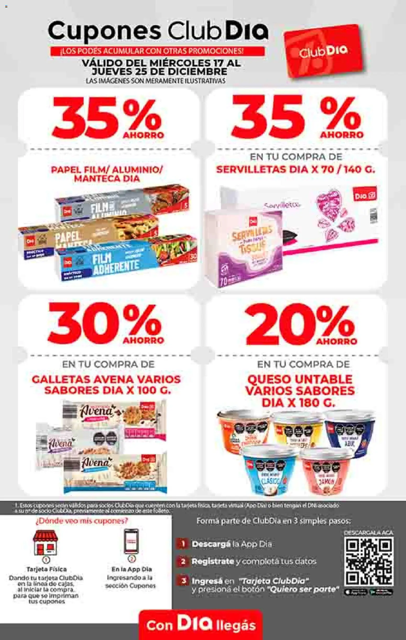 Dia - Ofertas - Salta y Jujuy │ válido desde el 17.12.2025 | Página: 12 | Productos: Servilletas, Avena, Manteca, Queso