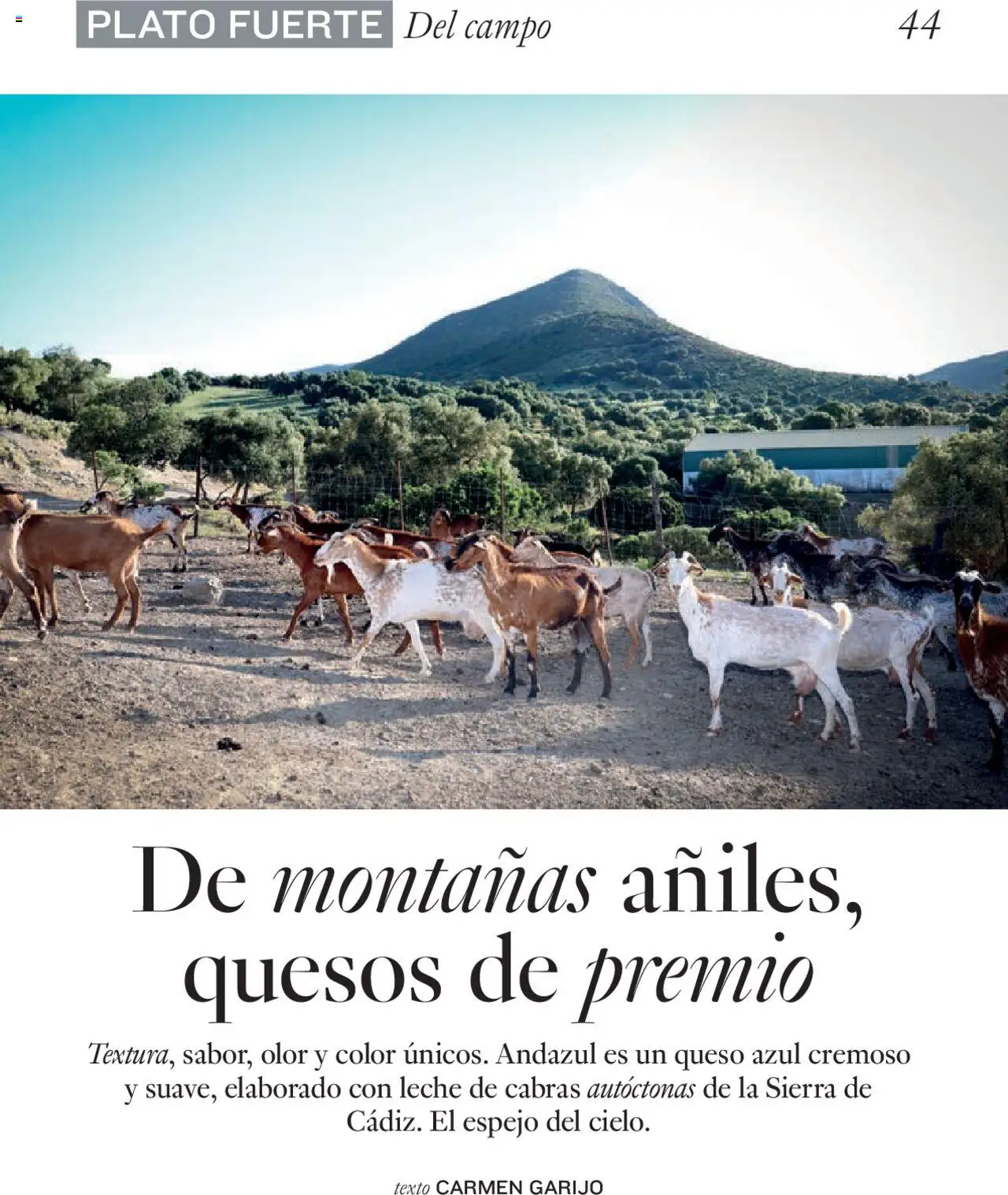 Nuevas ofertas de El Corte Inglés válidas en toda la República Mexicana desde el 27.06.2025. ¡Encuentra las mejores ofertas en El Corte Inglés Gourmet Magazin! | Página: 44 | Productos: Leche, Queso, Sierra, Espejo
