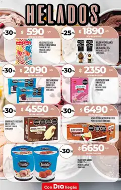 Vista previa Supermercado DIA Ofertas válido desde el 14.01.2026 | Página: 12