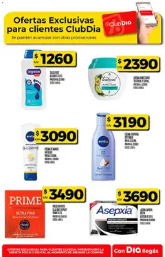 Vista previa Dia - Ofertas - Excluye Salta y Jujuy válido desde el 03.12.2025 | Página: 47