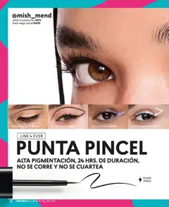 Catálogo CyZone Campaña 6 válido desde el 31.03.2026 | Página: 38 | Productos: Plumón, Pincel