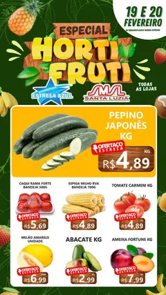 Estrela Azul - Ofertas Hortifruti - Pré-Visualização do folheto da loja Estrela Azul, válido de 19.02.2026
