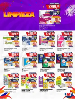 Vista previa Maxiconsumo ofertas válido desde el 16.02.2026 | Página: 19