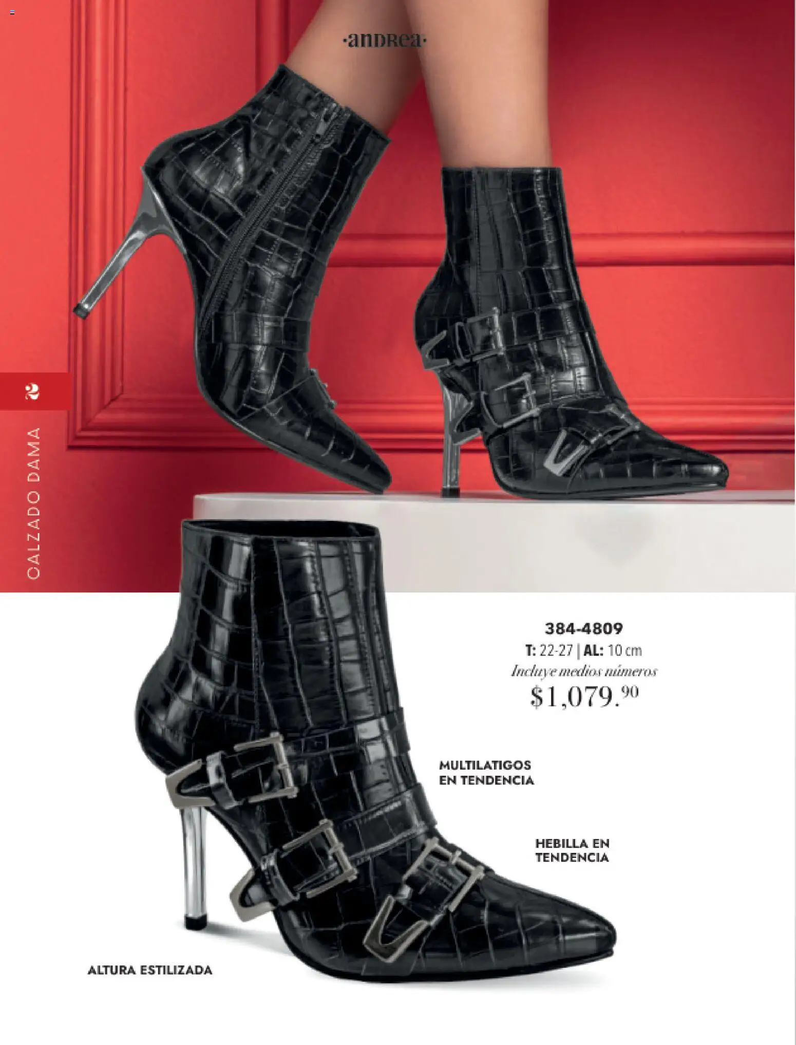 Nuevas ofertas de Andrea válidas en toda la República Mexicana desde el 16.11.2025. ¡Encuentra las mejores ofertas en Andrea catálogo Botas y botines! | Página: 2