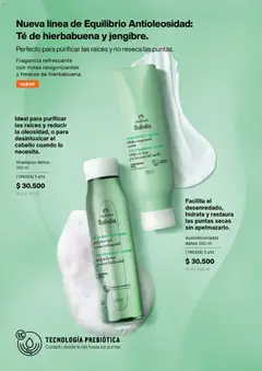 Natura catálogo _ ciclo 06 -  Vista previa de la revista de la tienda Natura valido desde el 01.03.2026 | Página: 163 | Productos: Té, Shampoo, Fragancia, Acondicionador