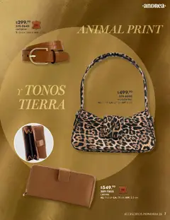 Vista previa de Andrea catálogo Primavera, nuevo folleto de la tienda, válido en México a partir del 25.01.2026 | Página: 7 | Productos: Cinturón