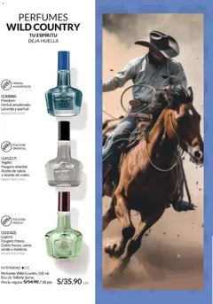 Vista previa de folleto Avon - Ciclo 19 de la Avon válido desde 01.12.2025 | Página: 111 | Productos: Aceite, EAU de Toilette