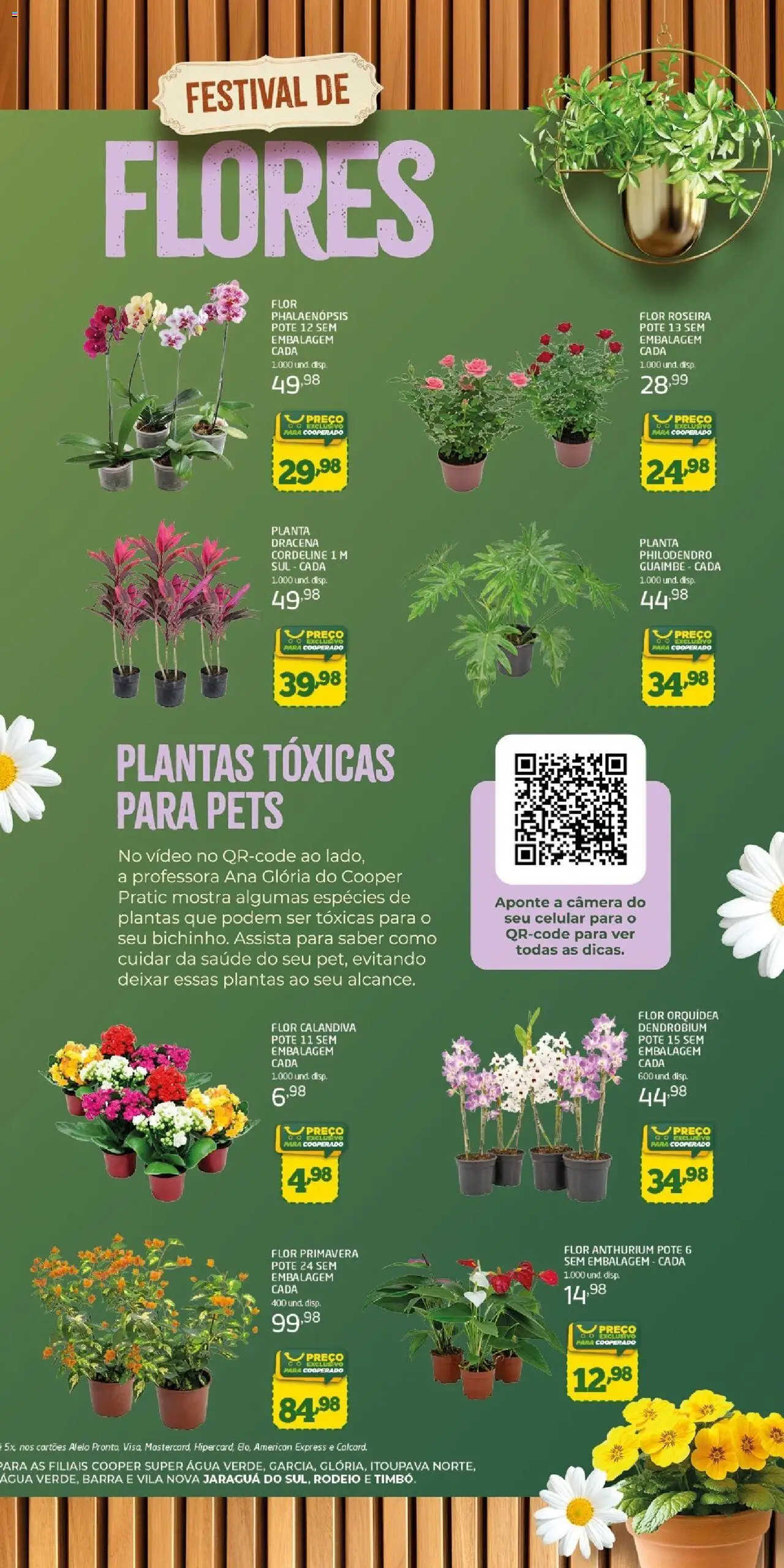 Cooper Folheto - válido de 10.09.2025 | Página: 3 | Produtos: Celular, Flores, Vídeo, Câmera