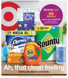 Vista previa de Target folleto, nuevo folleto de la tienda, válido en México a partir del 17.08.2025