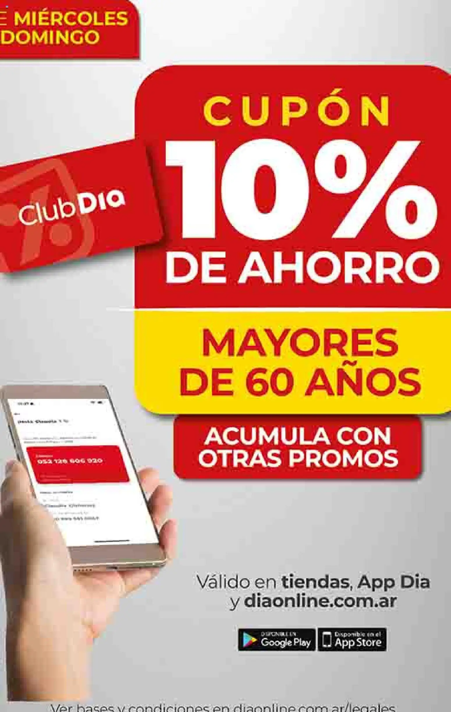 Dia - Ofertas - Salta y Jujuy │ válido desde el 26.11.2025 | Página: 13