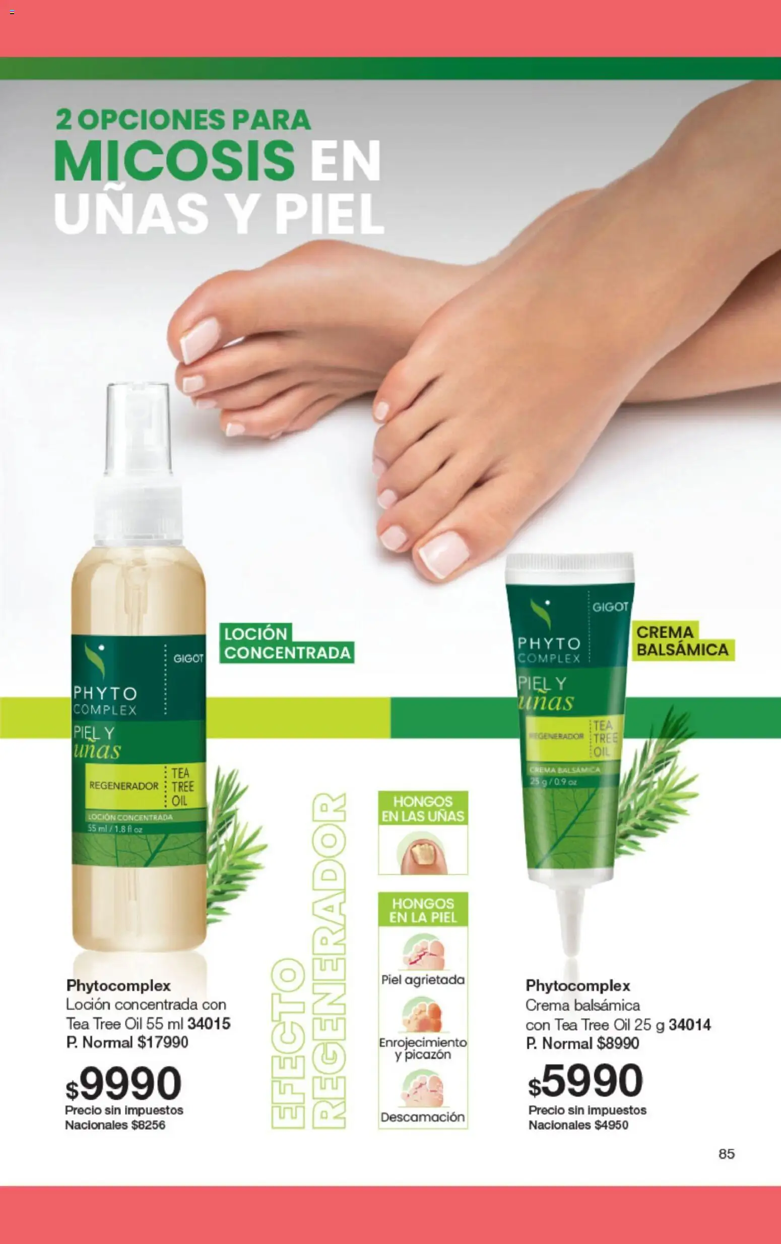 Gigot catálogo 02 │ válido desde el 01.02.2026 | Página: 89 | Productos: Loción, Hongos, Crema