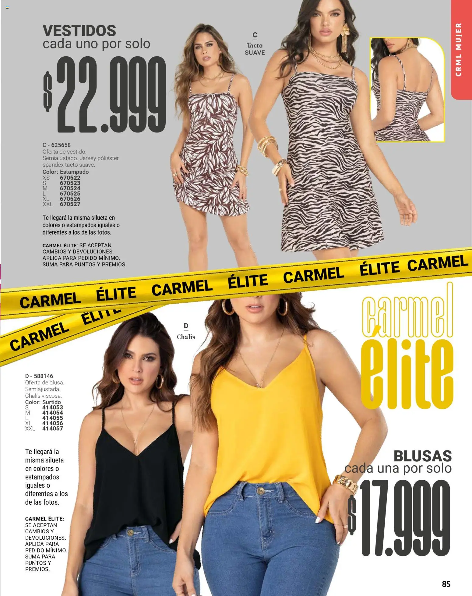 Carmel revista - valida desde el 01.01.2026 | Página: 85 | Productos: Té