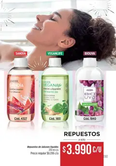 Vista previa Amodil - Campaña 18/2025 válido desde el 30.11.2025 | Página: 155 | Productos: Sandía, Jabón líquido, Jabón, Té