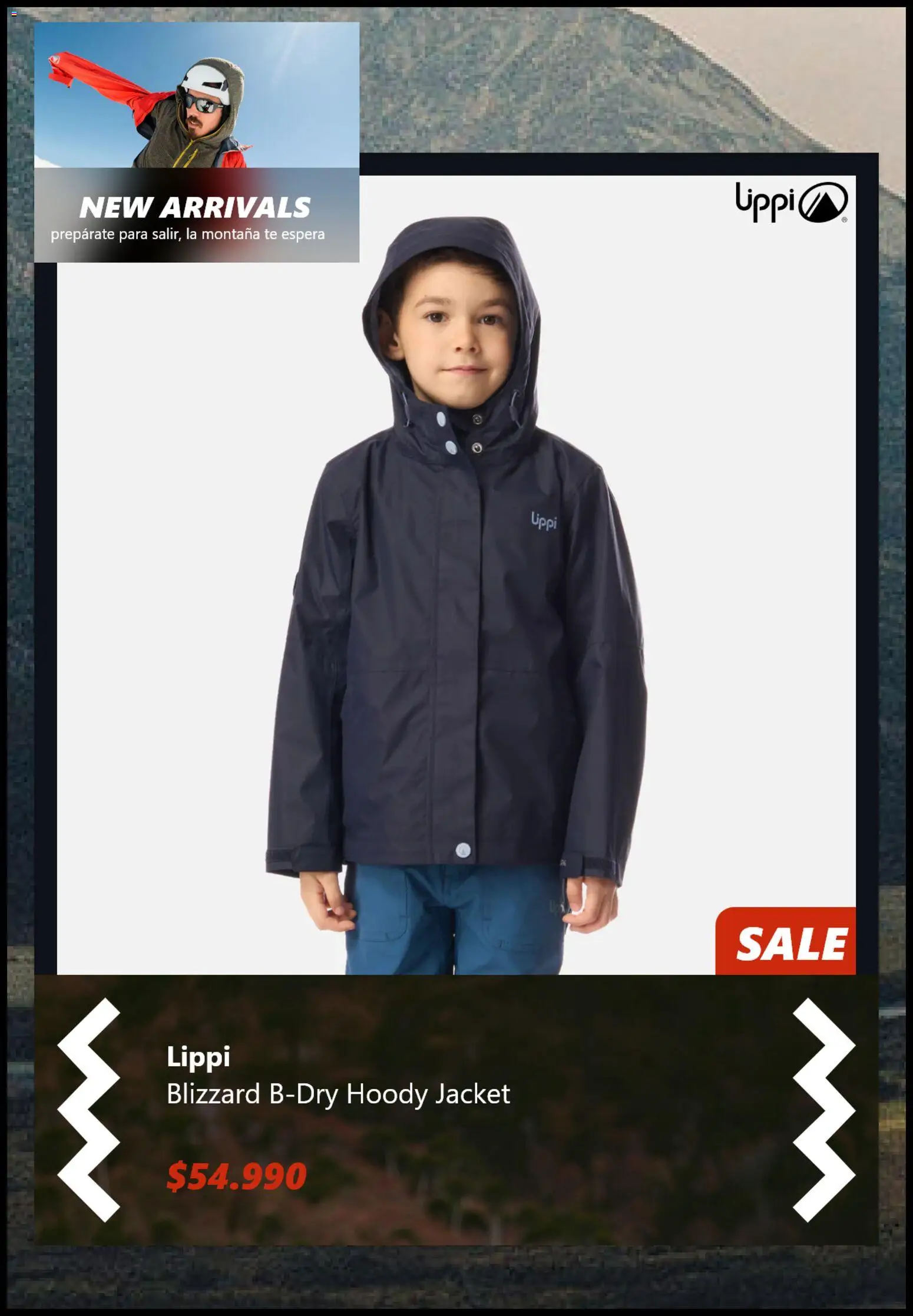 Lippi ofertas  │ válido desde el 19.03.2026 | Página: 5 | Productos: Té