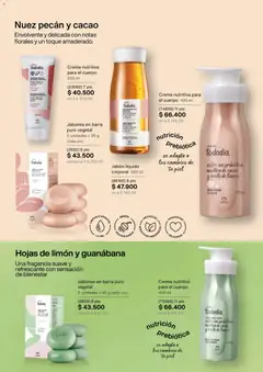 Natura - Catálogo 01A/2026 -  Vista previa de la revista de la tienda Natura valido desde el 02.01.2026 | Página: 100