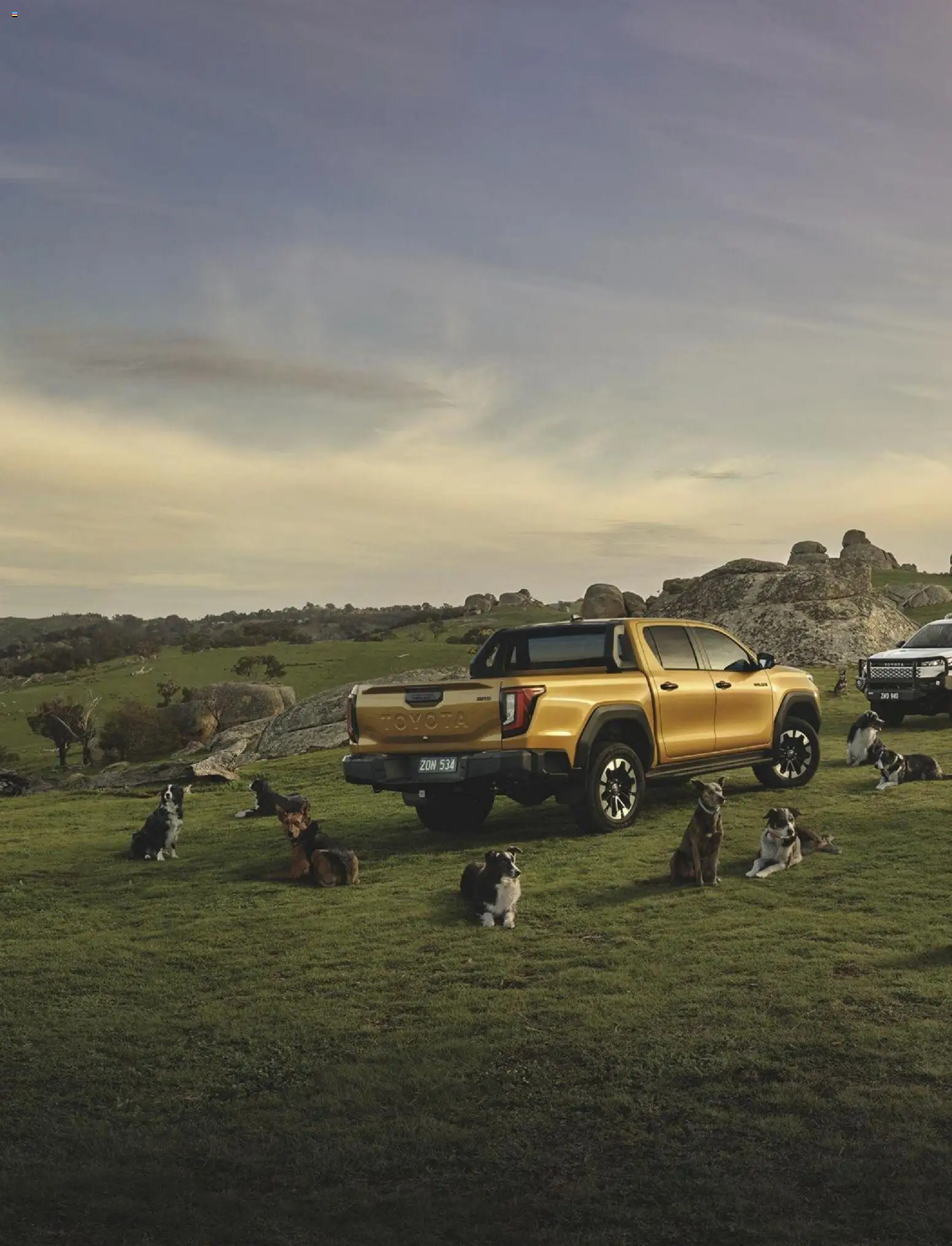 Bunnings Warehouse catalogue - valid from 01.02.2026 | Page: 2