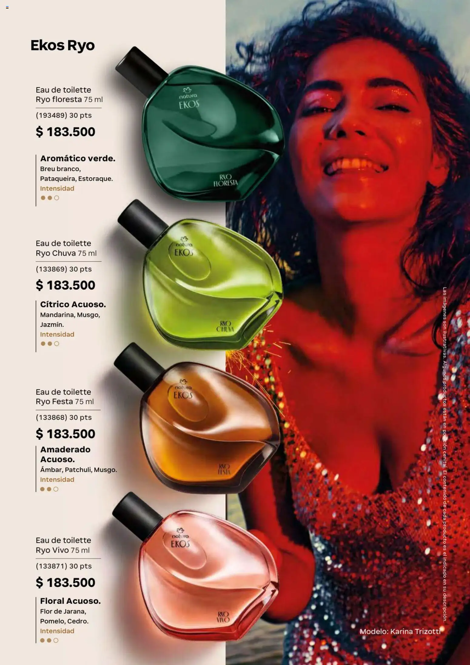 Natura revista - valida desde el 01.04.2026 | Página: 62