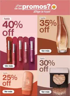 Vista previa de folleto Natura - Ciclo 17 de la Natura válido desde 03.10.2025 | Página: 53