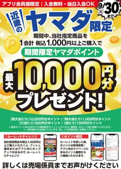 06.09.2025から有効なオファーを含む ヤマダ 電機 - 近畿のヤマダ限定!ルーレットチャレンジ