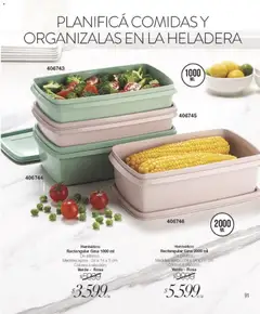 Vista previa Violetta - Violetta Cosméticos válido desde el 18.03.2026 | Página: 91 | Productos: Heladera